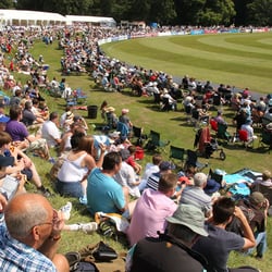 Friends of Arundel Castle Cricket Club