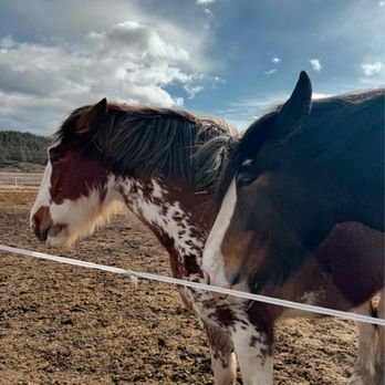 Clydesdale Outpost - Venues & Event Spaces Near Me - Whitefish, Montana