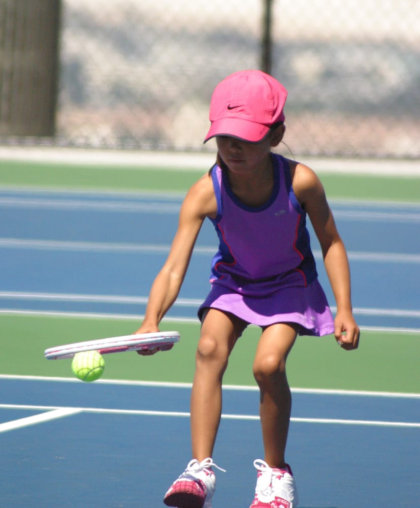 Tenndeavor Tennis Lessons Logo