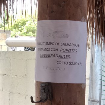 La Pepita - Seafood Near Me - Puerto Morelos, ROO