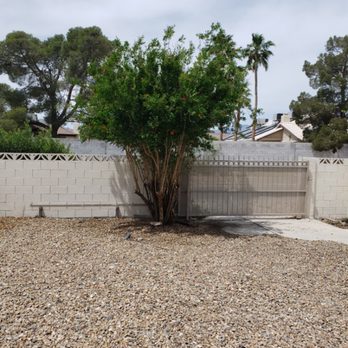 Palms & Trees Services - Tree Services Near Me - Las Vegas, Nevada