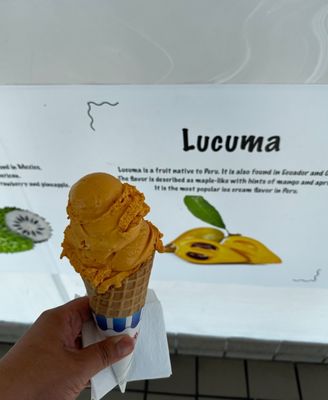 York Castle Ice Cream by null