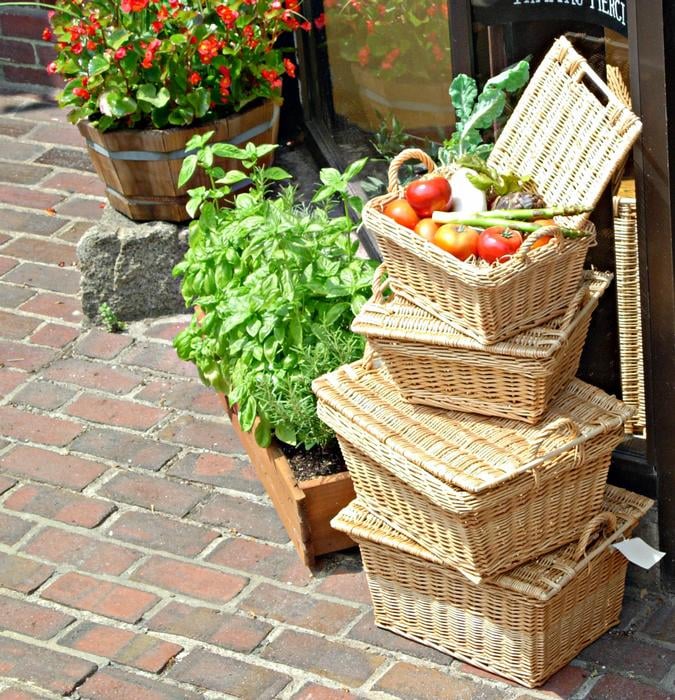 O & CO CLOSED 24 Reviews 161 Newbury St, Boston, Massachusetts