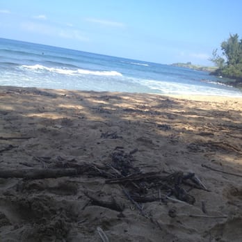 DT Fleming Beach Park - Pretty beach but has a lot of debris from all the trees - Beaches Near Me - Kapalua, Hawaii
