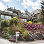 Photo of Shane Gray- Sutton Realty