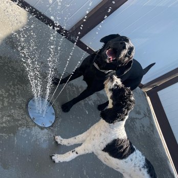 Ruff Life Training & Resort - Pet Boarding Near Me - Midway, Utah Ruff Life Training & Resort - Pet Boarding Near Me - Midway, Utah
