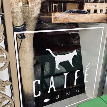 Catfe Lounge - Animal Shelters Near Me - Ferndale, Michigan