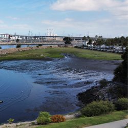 Golden Shore Marine Preserve