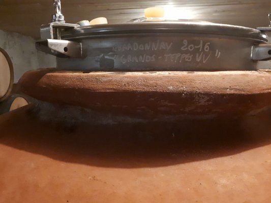 Domaine Jean-François Ganevat by null