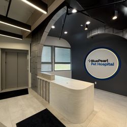 Triple Star Construction - Reception area and an Elevator