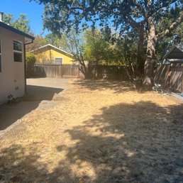 First Cleanup. Lawn is Dry, trees need trimming and removal First Cleanup. Lawn is Dry, trees need trimming and removal