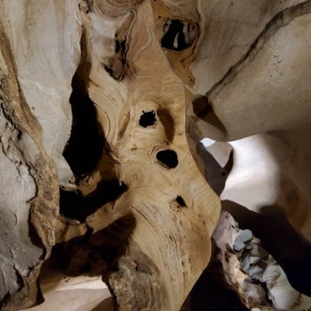 Longhorn Cavern State Park - Tours Near Me - Burnet, Texas Longhorn Cavern State Park - Tours Near Me - Burnet, Texas