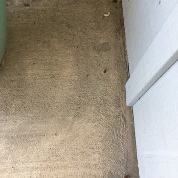 Pest Control Center - Pest Control Near Me - North Highlands, California Pest Control Center - Pest Control Near Me - North Highlands, California