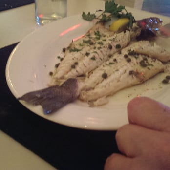Kyma - Seafood Near Me - Roslyn, New York