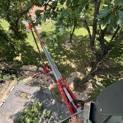 Ecoland Maintenance