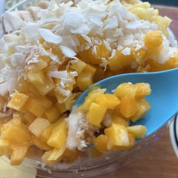 Coco Craze Coconut Bowl