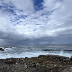 Clovelly Beach