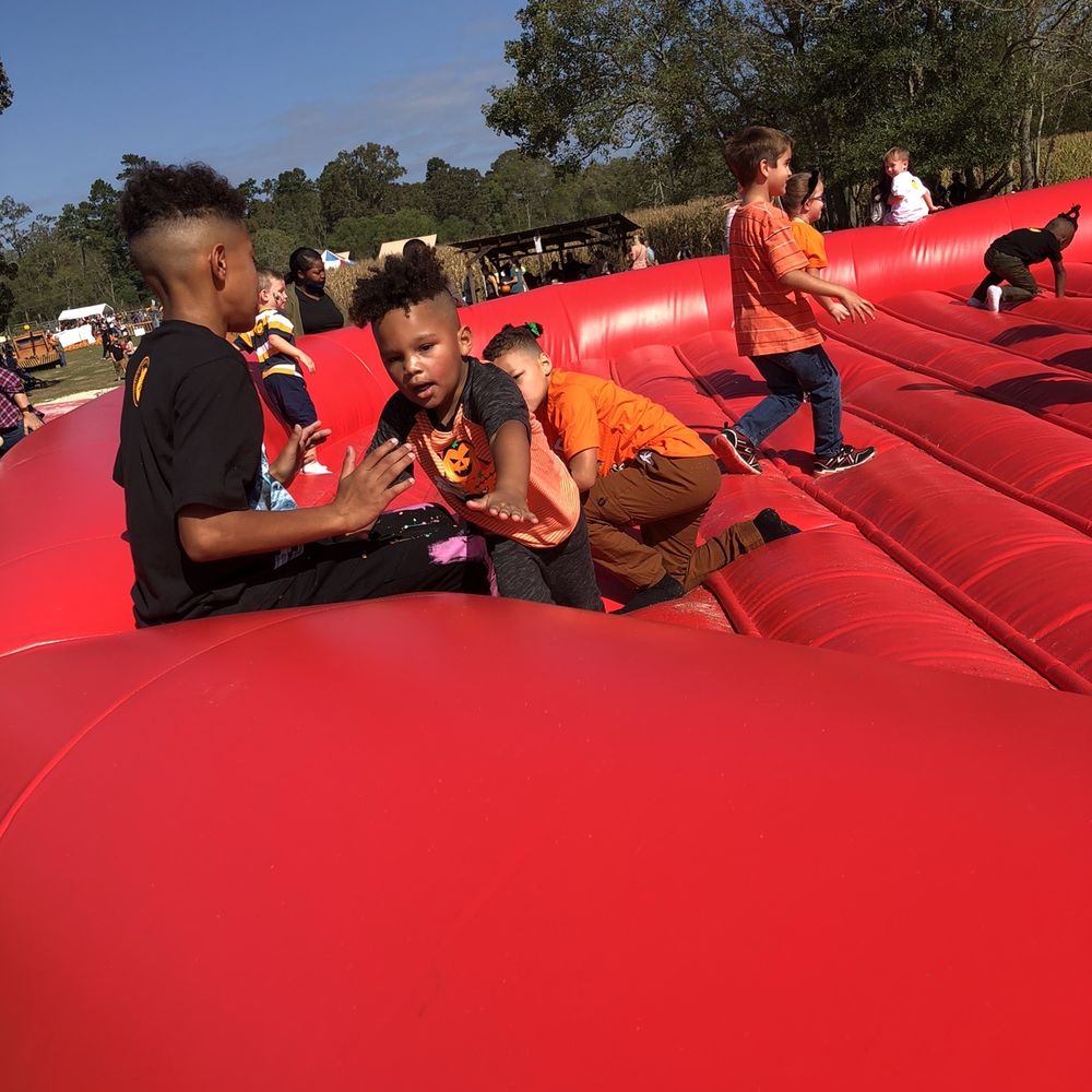 Mrs. Heather's Pumpkin Patch - Bounce pad - Kids Activities Near Me - Hammond, Louisiana Mrs. Heather's Pumpkin Patch - Bounce pad - Kids Activities Near Me - Hammond, Louisiana