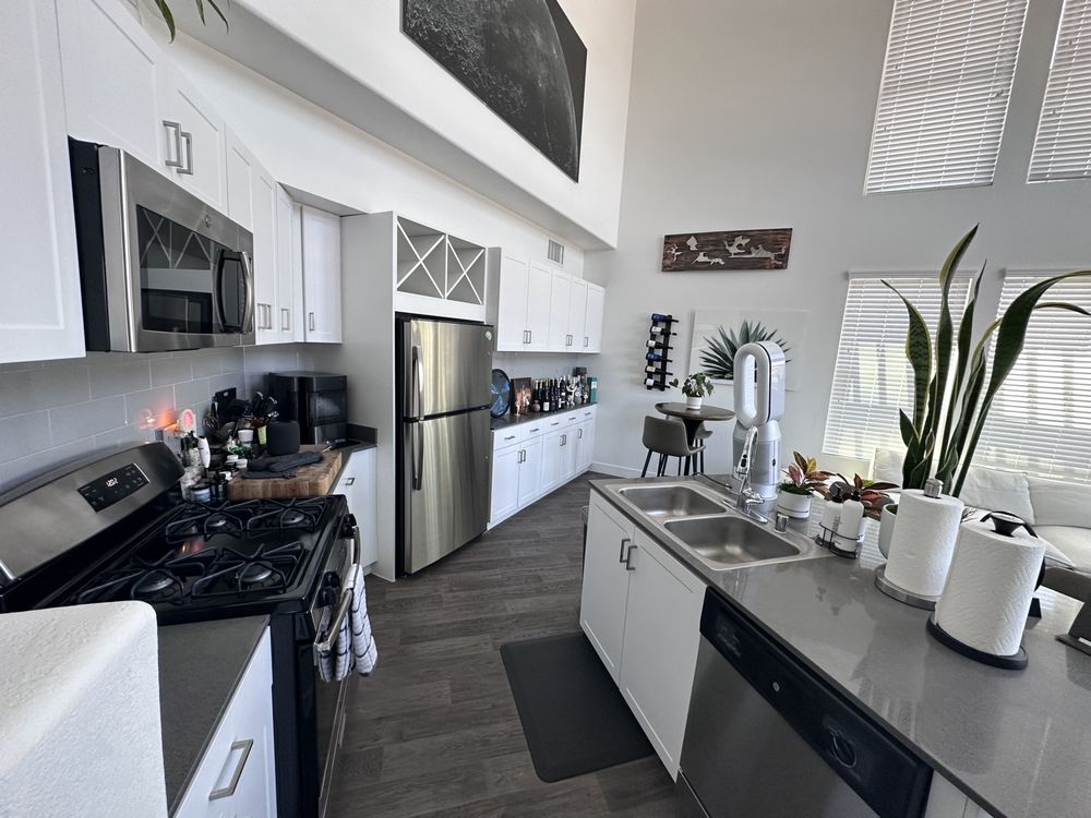 LAS VEGAS PRO CLEANERS Updated July 2024 34 Photos Paradise