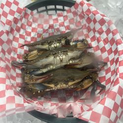 Fish Net Seafood - Softies