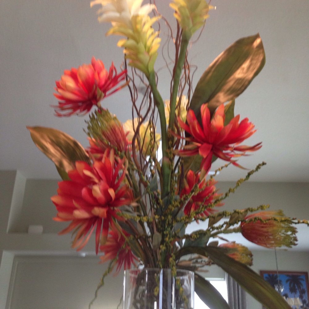 Best Artificial Plants Naples Florida: Stunning Decor Ideas Revealed 4 Best Artificial Plants Naples Florida: Stunning Decor Ideas Revealed