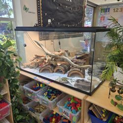 Penny & Peggy Nairn 24 Hour Childcare & Early Education Centers - Animal friendly
