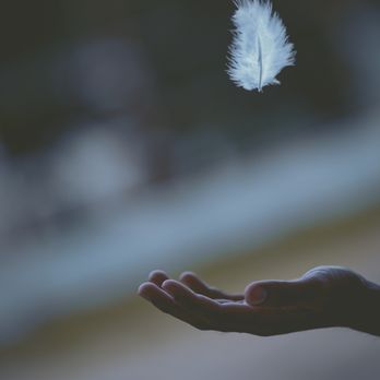 The Reiki DOCTA - Your angels are around during a Reiki session to assist with your healing. - Reiki Near Me The Reiki DOCTA - Your angels are around during a Reiki session to assist with your healing. - Reiki Near Me