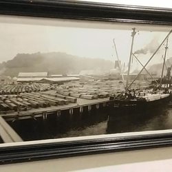 Morrison Riverfront Park - Historical photo of what is now Riverfront Morrison Park (note the two hills in the background for point of reference).