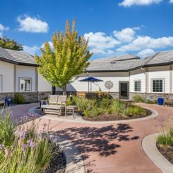 ACC Maple Tree Village