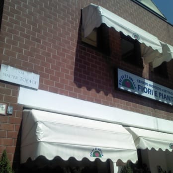 Fiori di Milano - Florists Near Me - Milan, Michigan Fiori di Milano - Florists Near Me - Milan, Michigan