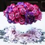 Photo of Illusions Bloom