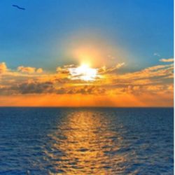 A Dream Trip 4 U