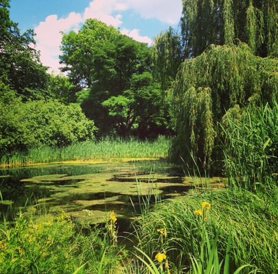 Schloss Eggenberg by null