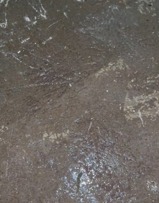 Tribeca Hotel FiDi by null