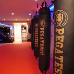 Pegatessu Fitness