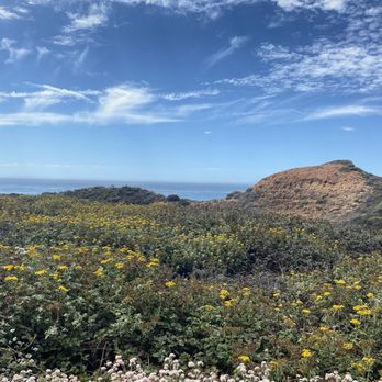 Andrew Molera State Park - Parks Near Me - Big Sur, California