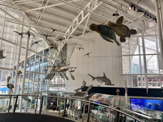 Australian National Maritime Museum by null