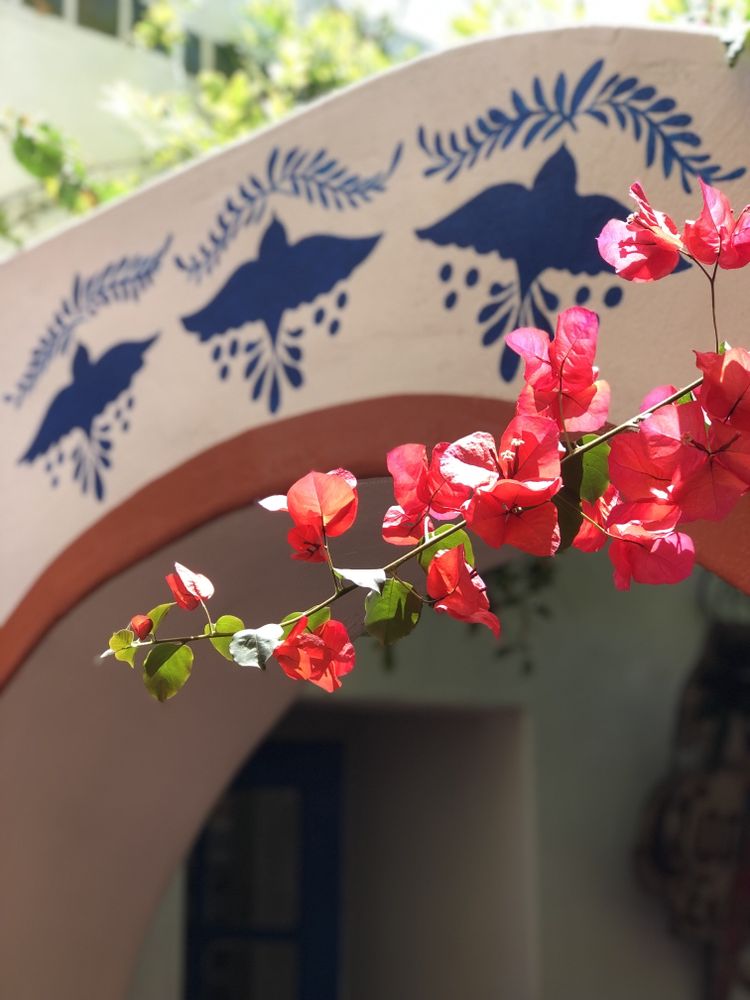 En Fuego Cantina & Grill — Del Mar