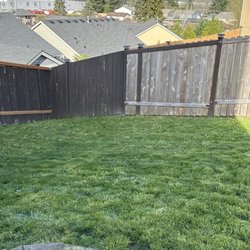 Patrick Lawncare - After Andre's care