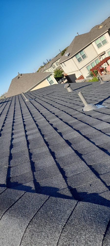 Slide of Deer Roofing