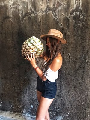 The Agave Experience by null