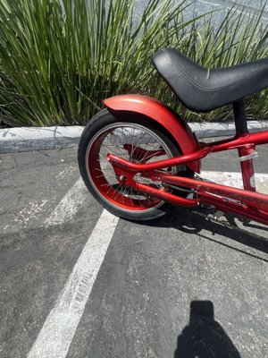 Sunny Cycles by null