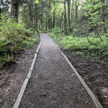 Forest Park - Parks Near Me - Portland, Oregon