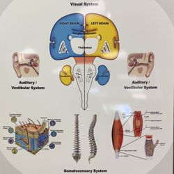 Demyen Family Chiropractic