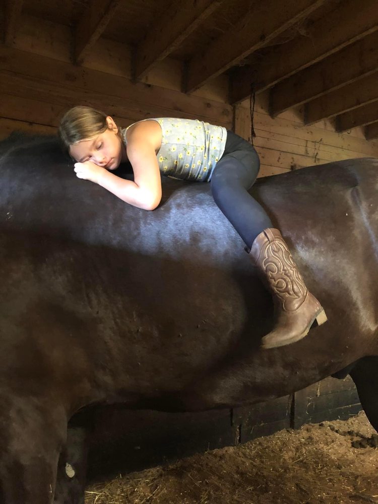 CNY Event Ranch - equestrian in Oswego, NY