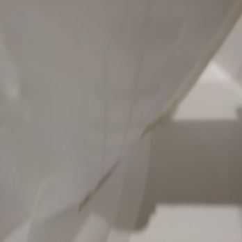 Best Western Plus Executive Inn - moldy showercurtain - Hotels Near Me - Toronto, Ontario