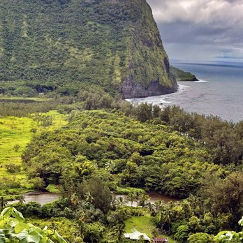 Waipio Valley Shuttle - Villager's homes and farmland - Tours Near Me - Honokaa, Hawaii