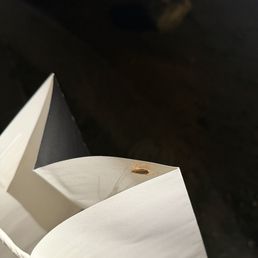 Cockroach crawling out of our dinner delivery from Agave Birria. Cockroach crawling out of our dinner delivery from Agave Birria.
