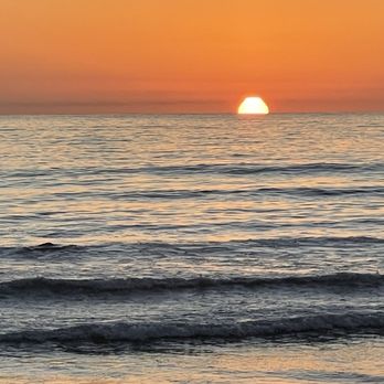 Harbor Fish Cafe - Seafood Near Me - Carlsbad, California