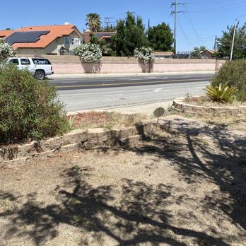 Advantage Landscapes - Over grown planters full of crab grass. - Landscaping Near Me Advantage Landscapes - Over grown planters full of crab grass. - Landscaping Near Me